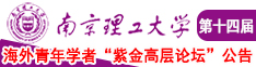 免费草逼网南京理工大学第十四届海外青年学者紫金论坛诚邀海内外英才！